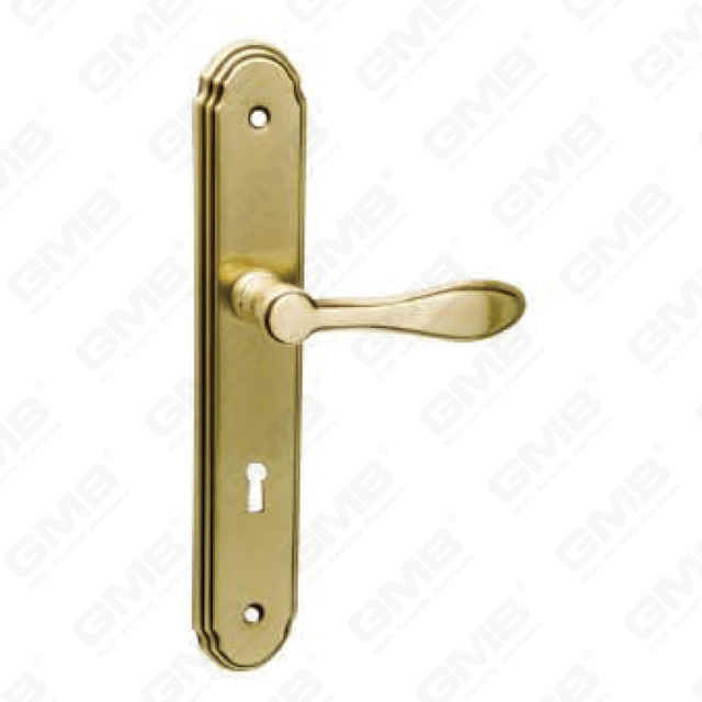 Türgriff Ziehen Sie Holztür Hardware -Griff Türgriff auf Teller für Lockset mit Zinklegierung oder Stahltürplatte (309a)
